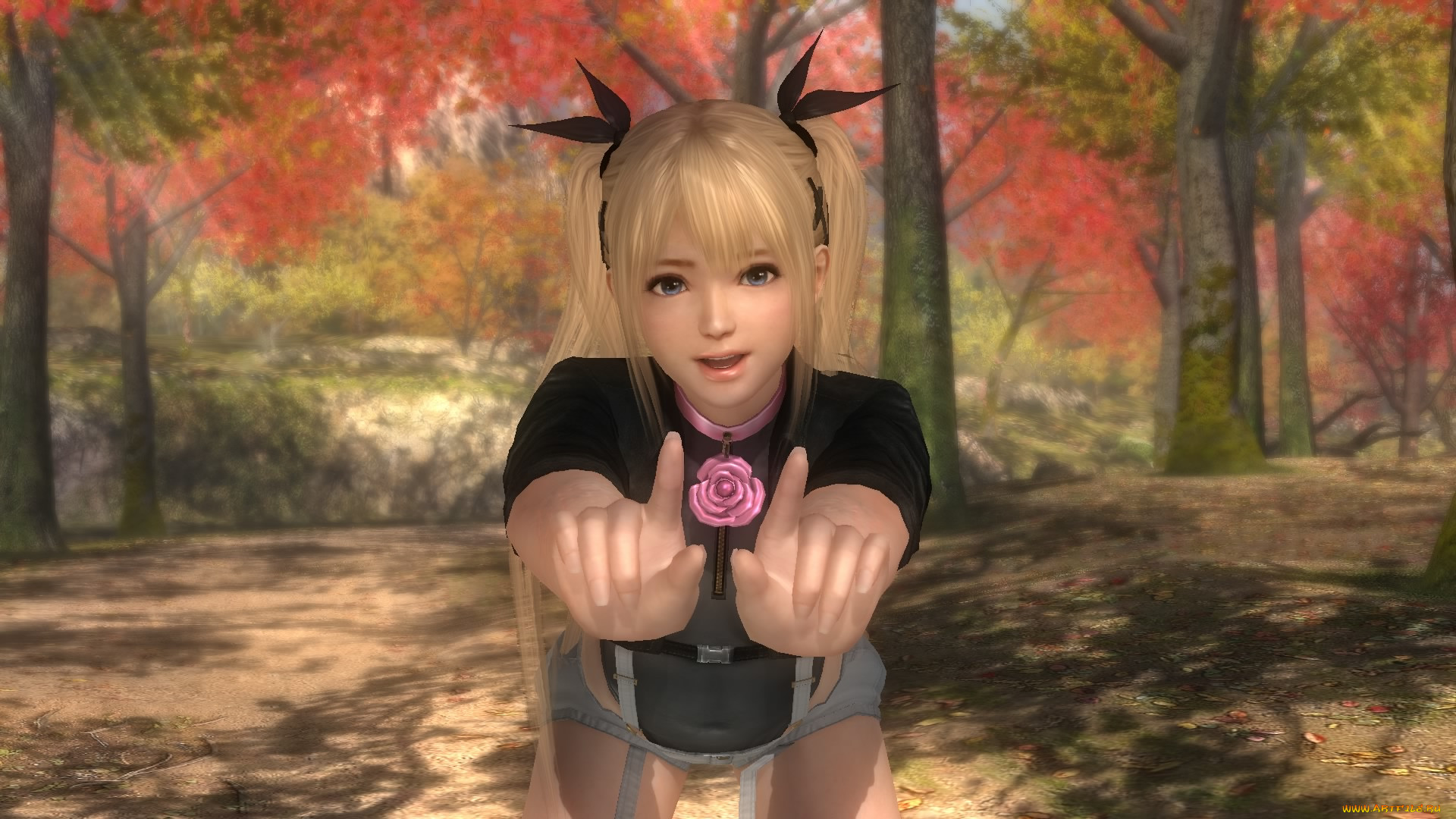  , dead or alive 5, 